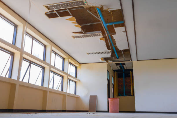 Best Flood damage cleanup  in Salem Heights, OH