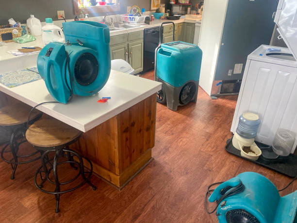 Best Water damage restoration near me  in Salem Heights, OH
