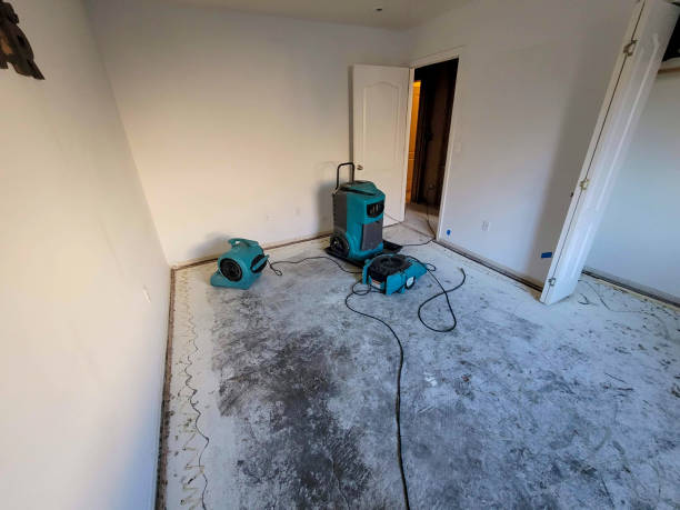 Best Fire Damage Restoration  in Salem Heights, OH