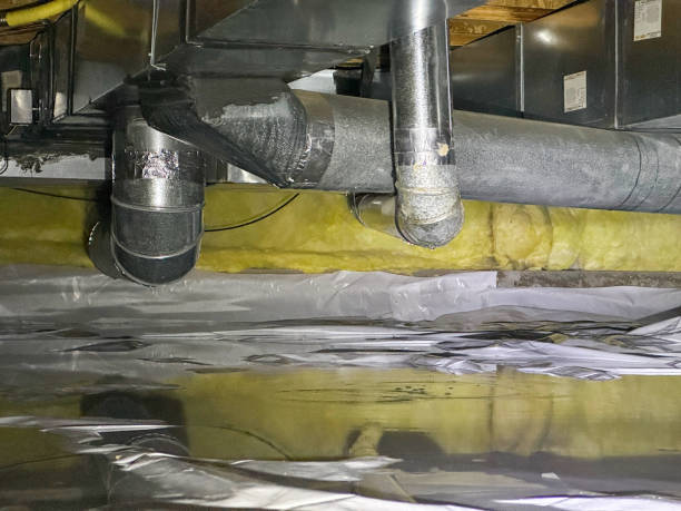 Best Water damage cleanup near me  in Salem Heights, OH