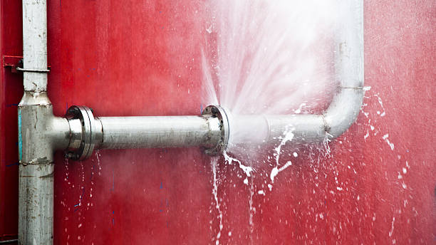 Best Local water damage restoration  in Salem Heights, OH